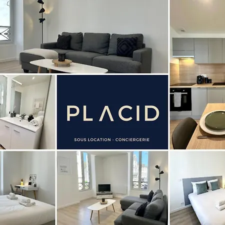 L'authentique - Moderne - Mont-de-Marsan