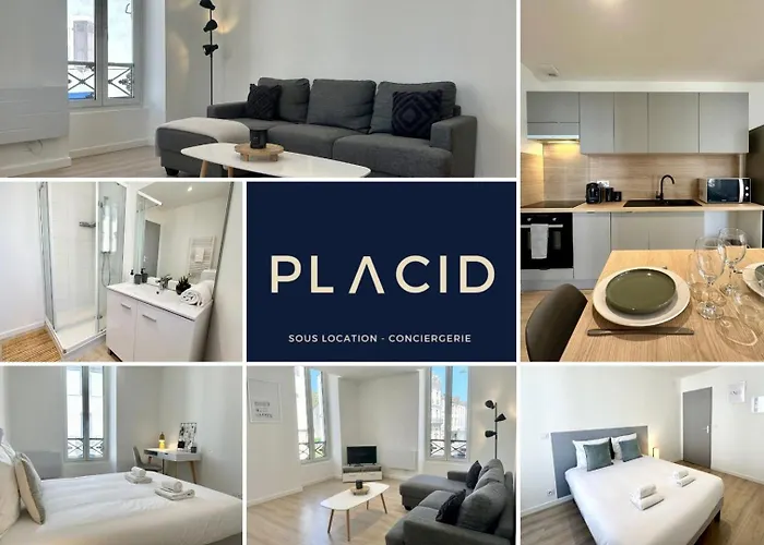 L'authentique - Moderne - Mont-de-Marsan